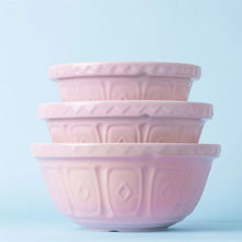 Load image into Gallery viewer, Mason Cash Pink Color Mix Bowl Size 12