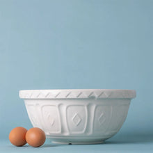 Load image into Gallery viewer, Mason Cash Cream Color Mix Bowl Size 12