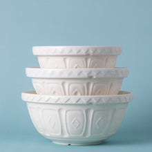 Load image into Gallery viewer, Mason Cash Cream Color Mix Bowl Size 12