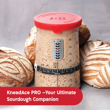 Load image into Gallery viewer, KneadAce® PRO 34 oz Sourdough Starter Jar
