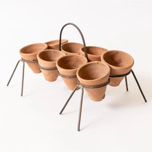 Load image into Gallery viewer, Rustic Stand with Mini Off-Kilter Herb Terracotta Pots