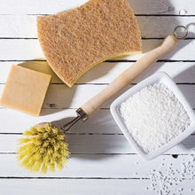 Load image into Gallery viewer, Natural Bristle Veggie and Dish Scrub Brush