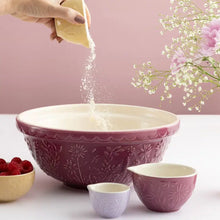 Load image into Gallery viewer, Mason Cash In the Meadow Measuring Cups