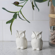 Load image into Gallery viewer, Mini Ceramic Owl Salt and Pepper Shakers, Set of 2