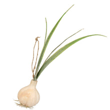 Load image into Gallery viewer, Glass Veggie Ornaments (9 Styles)