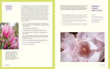 Load image into Gallery viewer, Forage & Feast: Recipes for Bringing Mushrooms & Wild Plants to Your Table