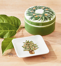 Load image into Gallery viewer, Citrus Tree Trinket Dish Green