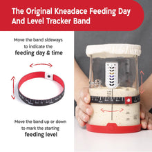 Load image into Gallery viewer, KneadAce® PRO 34 oz Sourdough Starter Jar
