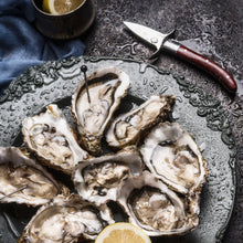 Load image into Gallery viewer, Outset Oyster Knife with Pouch