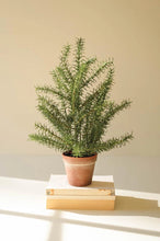 Load image into Gallery viewer, Artificial Rosemary Plant in a Faux Terracotta Pot

