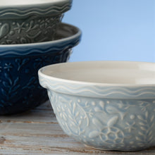 Load image into Gallery viewer, Mason Cash Nautical Turtle Blue Mixing Bowl Size 24
