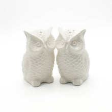 Load image into Gallery viewer, Mini Ceramic Owl Salt and Pepper Shakers, Set of 2
