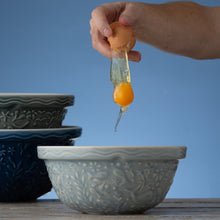 Load image into Gallery viewer, Mason Cash Nautical Turtle Blue Mixing Bowl Size 24
