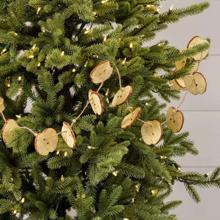 Apple Slice Garland