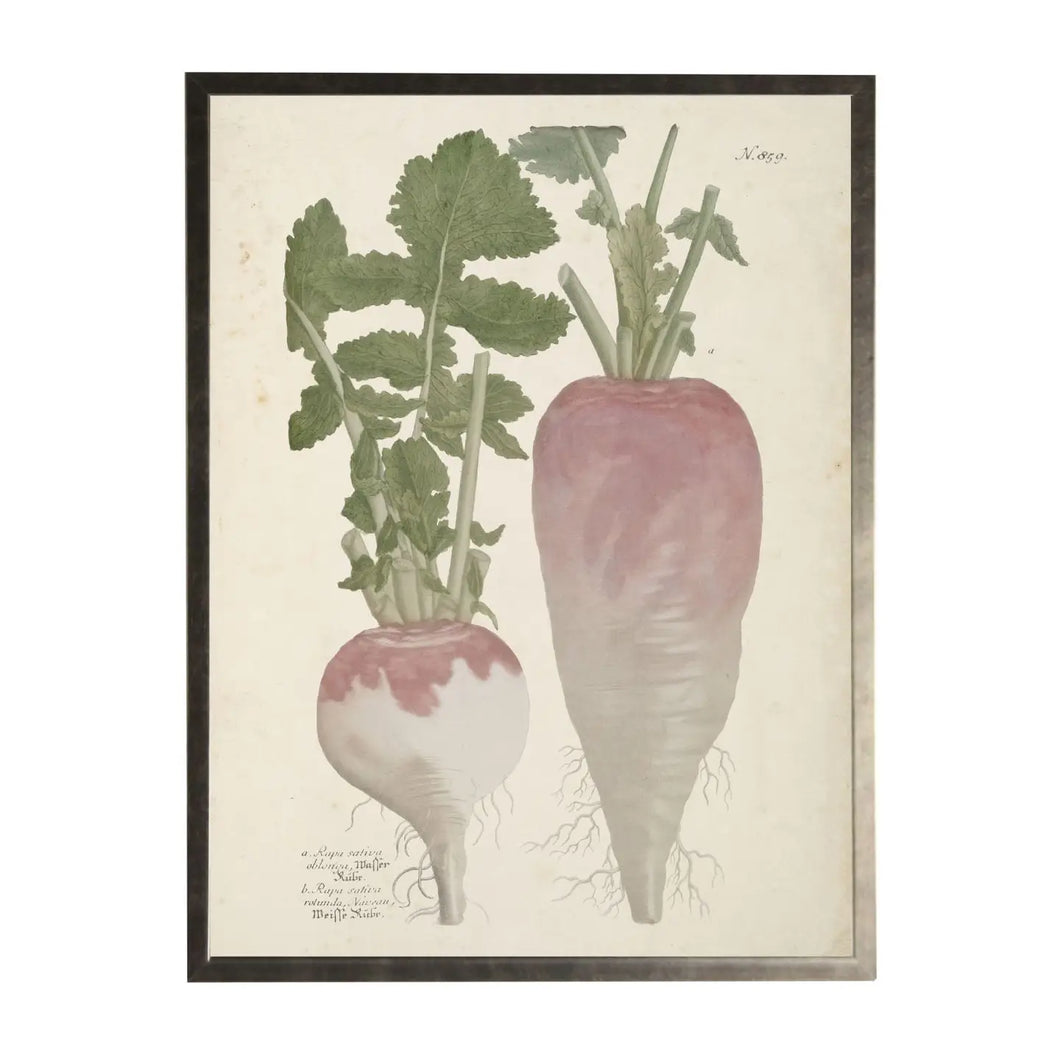 Framed Vintage Vegetables Bookplate A On Distressed Background 22