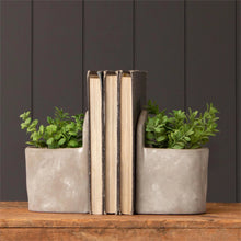 Load image into Gallery viewer, Cement Planter Set of 2 - Hangable or Tabletop

