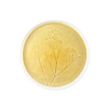 Load image into Gallery viewer, Meadow Yellow Porcelain Medium Plate, Set of 4 [Online Only]
