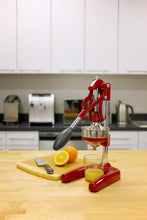 Load image into Gallery viewer, Amalfi Citrus Press, 7" x 8" x 16.5" [Online Only]

