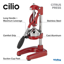 Load image into Gallery viewer, Amalfi Citrus Press, 7" x 8" x 16.5" [Online Only]
