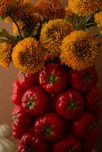 Load image into Gallery viewer, Ceramic Tomato Vase
