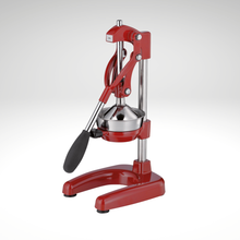 Load image into Gallery viewer, Amalfi Citrus Press, 7" x 8" x 16.5" [Online Only]
