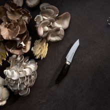 Load image into Gallery viewer, Messermeister Kawashima Magnet Block Set - 5 Piece [Online Only]
