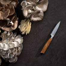 Load image into Gallery viewer, Messermeister Oliva Elite Next Level Block Set - 11 Piece [Online Only]
