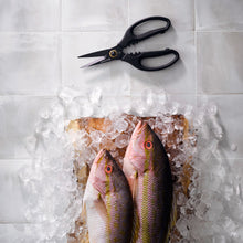Load image into Gallery viewer, Messermeister Esther Choi Push Button Take-Apart Precision Shears - 7" [Online Only]
