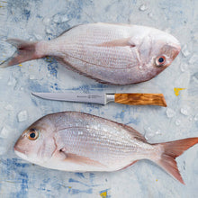 Load image into Gallery viewer, Messermeister Oliva Elite Flexible Boning Knife - 6" [Online Only]
