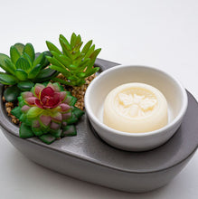 Load image into Gallery viewer, Cypress Sage &amp; Patchouli Beeswax Melts | Fontana Candle Co. [Online Only]
