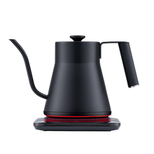 Load image into Gallery viewer, Baristan Gooseneck Kettle [Online Only]
