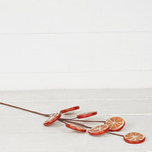 Load image into Gallery viewer, Faux Orange Slices 20" Spray

