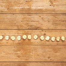 Load image into Gallery viewer, Apple Slice Garland
