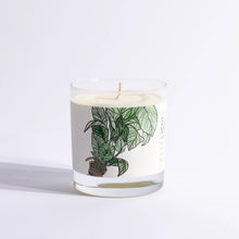 Load image into Gallery viewer, Summer Mint 7 oz. Just Bee Candle Jar
