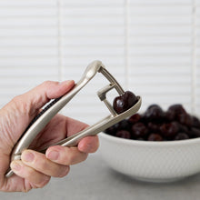 Load image into Gallery viewer, Endurance Cherry Pitter
