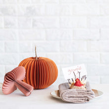 Load image into Gallery viewer, Dried Natural Corn Husk Turkeys w/ 12 Place Card/Photo Holders (Boxed Set of 3)
