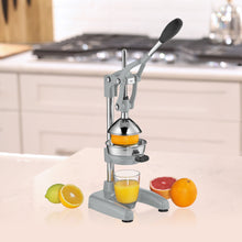Load image into Gallery viewer, Amalfi Citrus Press, 7" x 8" x 16.5" [Online Only]
