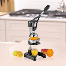 Load image into Gallery viewer, Amalfi Citrus Press, 7" x 8" x 16.5" [Online Only]
