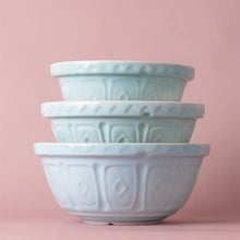 Load image into Gallery viewer, Mason Cash Powder Blue Color Mix Bowl Size 12
