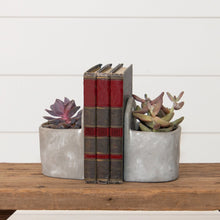 Load image into Gallery viewer, Cement Planter Set of 2 - Hangable or Tabletop
