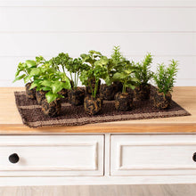 Load image into Gallery viewer, Faux Unpotted Herbs in Soil
