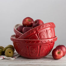 Load image into Gallery viewer, Mason Cash Red Color Mix Bowl Size 18
