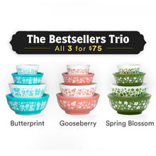 Load image into Gallery viewer, Mini Pyrex-Inspired Mixing Bowls – Retro Stackable Display Set [Online Only]
