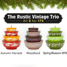 Load image into Gallery viewer, Mini Pyrex-Inspired Bowl Ornament | Retro Christmas Tree Decor [Online Only]

