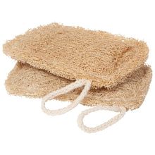 Load image into Gallery viewer, Loofah Dish Sponges Set of 2
